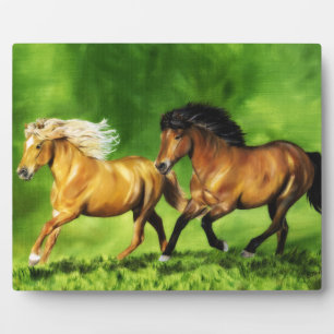 Dream Team Fotoplatte