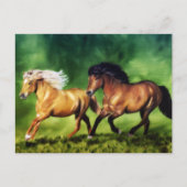 Dream Team-Isländisch Pferde Postkarte (Vorderseite)