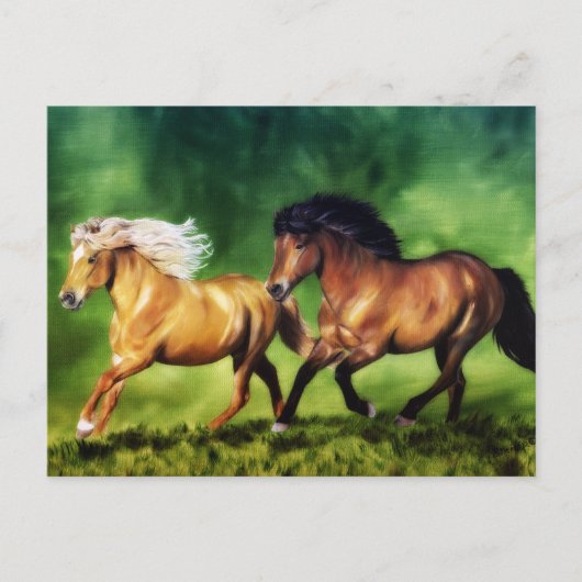 Dream Team-Isländisch Pferde Postkarte (Vorderseite)