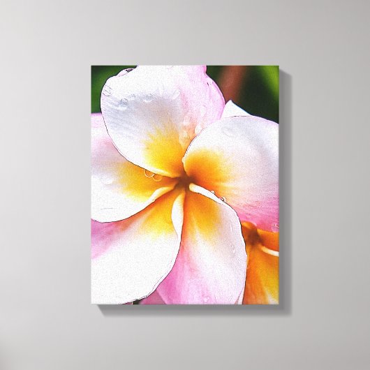 Dream Vorlage: franjipani flower Leinwanddruck (Vorderseite)