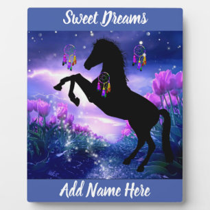 Dreamcatcher Fotoplatte