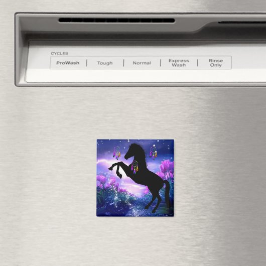 Dreamcatcher Magnet (In Situ (Geschirrspüler))