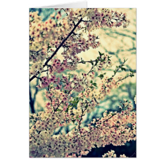 Dreame Explosion (unbedruckte Innenseite)