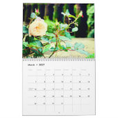DreamerBee 2026 Garden Calendar Kalender (Mär 2027)
