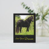 Dreamin' Friesian Postcard Postkarte (Stehend Vorderseite)