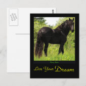 Dreamin' Friesian Postcard Postkarte (Vorne/Hinten)