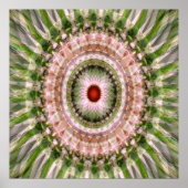 Dreamin'.... Poster (Vorne)