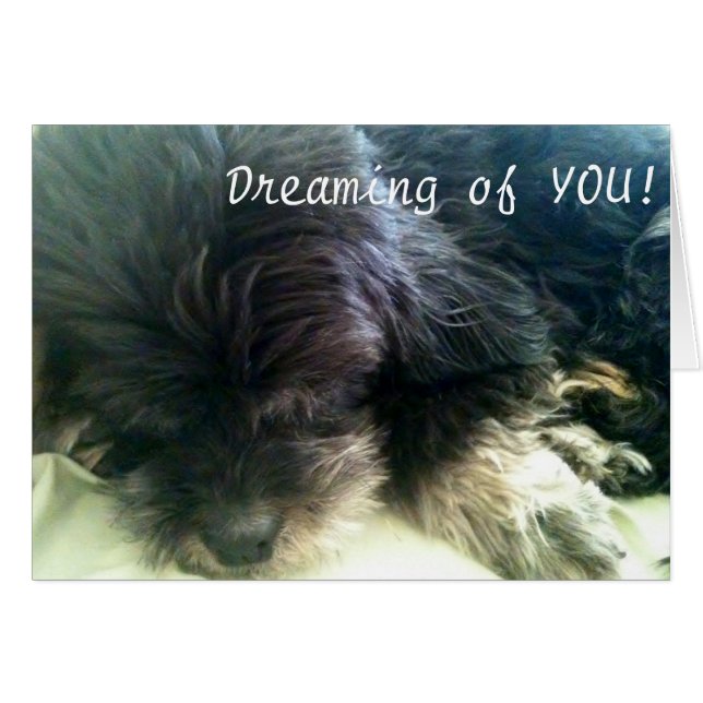 DREAMING IHNEN - LIEBE (Vorderseite (Horizontal))