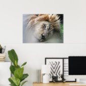 Dreaming Lion Poster (Heimbüro)