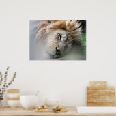Dreaming Lion Poster (Küche)