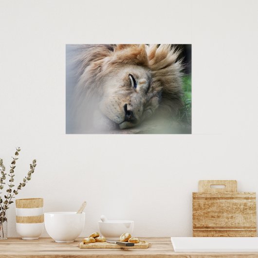 Dreaming Lion Poster (Küche)