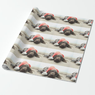 Dreaming of Santa - German Shorthair Puppy Geschenkpapier