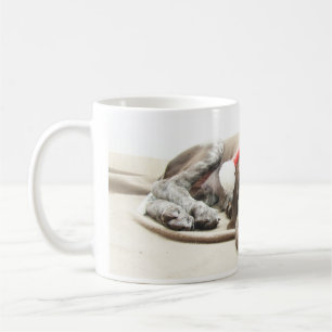 Dreaming of Santa - German Shorthair Puppy Kaffeetasse