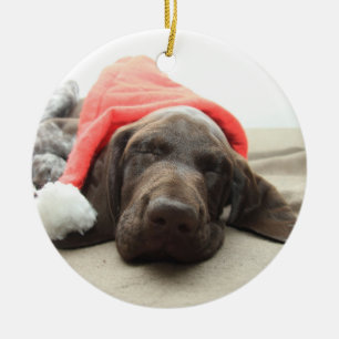 Dreaming of Santa - German Shorthair Puppy Keramikornament