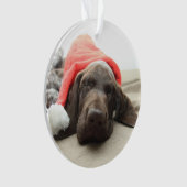 Dreaming of Santa - German Shorthair Puppy Ornament (Vorderseite)