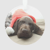 Dreaming of Santa - German Shorthair Puppy Ornament (Rückseite)