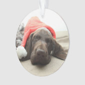 Dreaming of Santa - German Shorthair Puppy Ornament (Vorderseite)