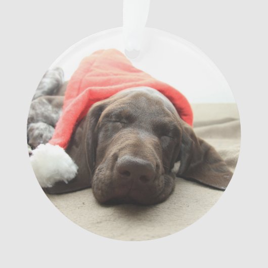 Dreaming of Santa - German Shorthair Puppy Ornament (Vorderseite)
