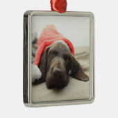 Dreaming of Santa - German Shorthair Puppy Silbernes Ornament (Rechts)