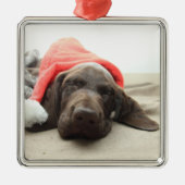 Dreaming of Santa - German Shorthair Puppy Silbernes Ornament (Vorne)