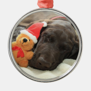 Dreaming of Santa - German Shorthair Puppy Silbernes Ornament