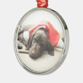 Dreaming of Santa - German Shorthair Puppy Silbernes Ornament (Links)