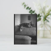 Dreaming Postkarte (Stehend Vorderseite)