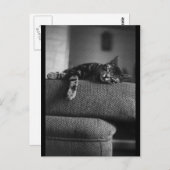 Dreaming Postkarte (Vorne/Hinten)