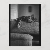 Dreaming Postkarte (Vorderseite)