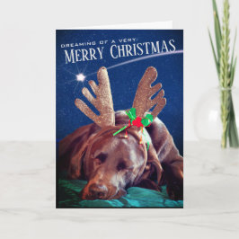 Dreaming Schokolade Labrador mit Antlers Fotografi Feiertagskarte