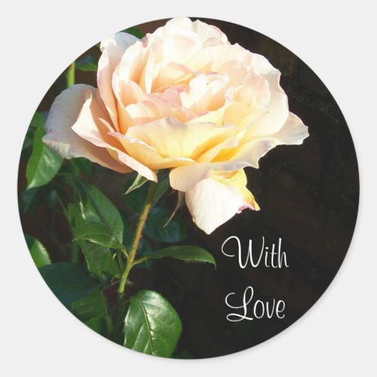 'Dreaming Spires' Rose Stickers (Vorderseite)