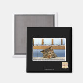 Dreaming von Käseburgern Magnet (Vorderseite/Rückseite)