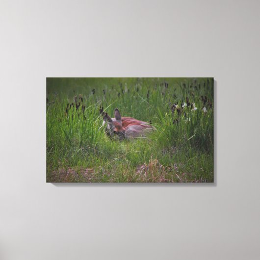 Dreamland Leinwanddruck (Vorderseite)