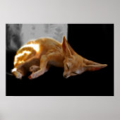 Dreamland Poster (Vorne)