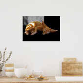 Dreamland Poster (Küche)