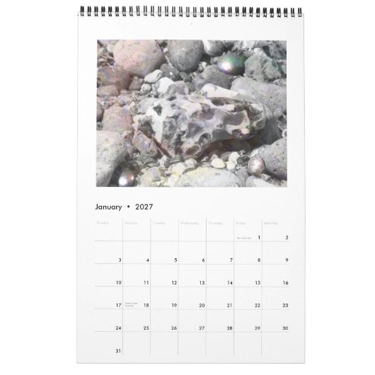 DreamLandscapes Kalender 2011 (Jan 2027)