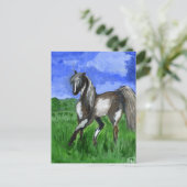 Dreammerpinto Pferdekunst Postkarte (Stehend Vorderseite)