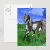 Dreammerpinto Pferdekunst Postkarte (Vorne/Hinten)