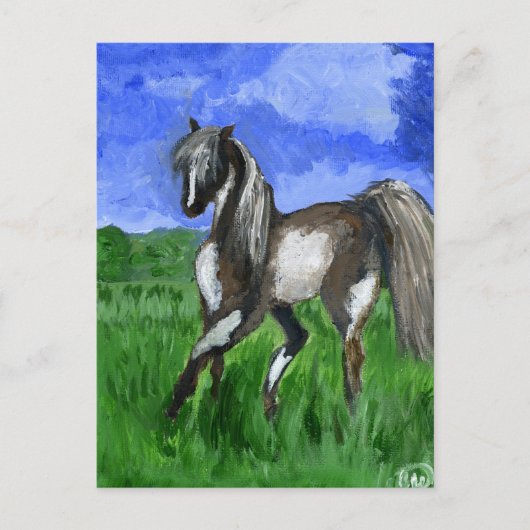 Dreammerpinto Pferdekunst Postkarte (Vorderseite)