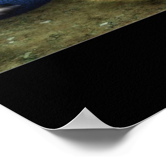 Dreamspell Poster (Ecke)