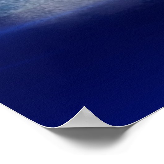 Dreamwal und Delphine Poster (Ecke)