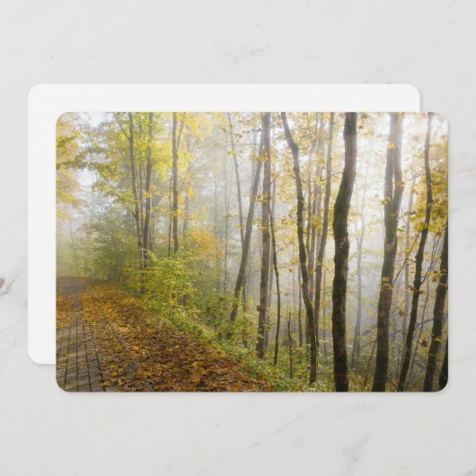 Dreamy autumn park feiertagskarte (Vorne/Hinten)