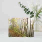 Dreamy autumn park postkarte (Stehend Vorderseite)