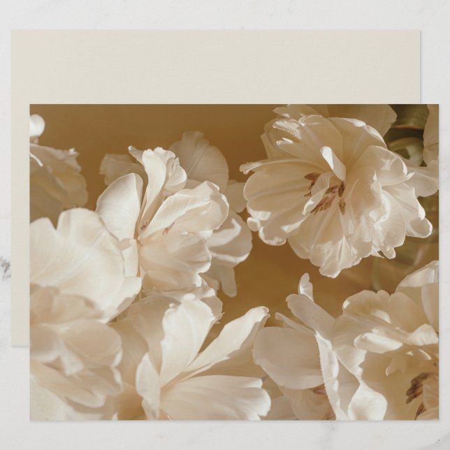 Dreamy beige floral Elegant Scrapbook Paper (Vorne/Hinten)