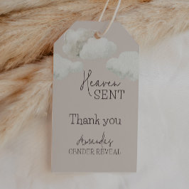 Dreamy Beige neutrale Himmelsmeldung über Geschlec Geschenkanhänger