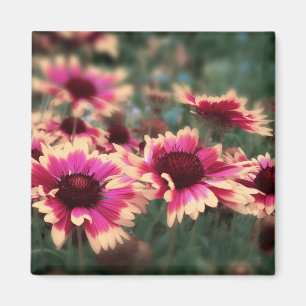 Dreamy Blanket Blume Magnet