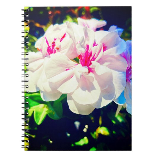 Dreamy Blooms Notebook Notizblock (Vorderseite)