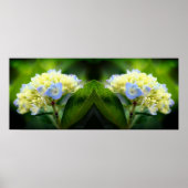 Dreamy Blue Hydrangea Blume Mirror Abstrakt Poster (Vorne)