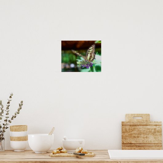 Dreamy Butterfly on Blume Nature Poster (Küche)