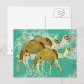 Dreamy Camels Postcard Postkarte (Vorne/Hinten)